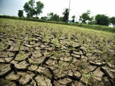 Maharashtra: Maharashtra government declares drought in 42% of state ...