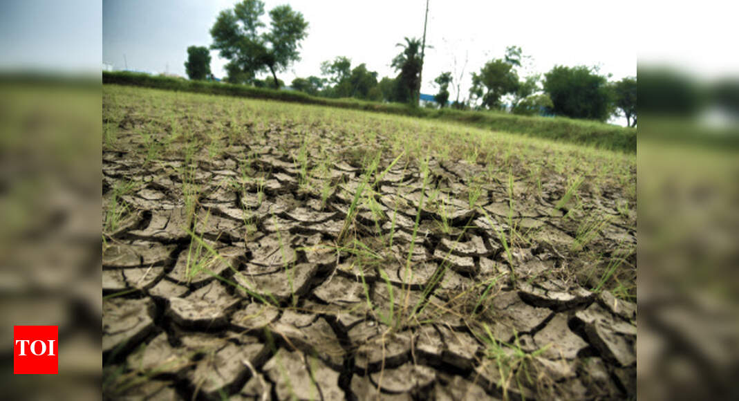 Maharashtra: Maharashtra government declares drought in 42% of state ...