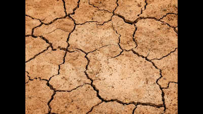 7 talukas of Pune district under ‘moderate drought’