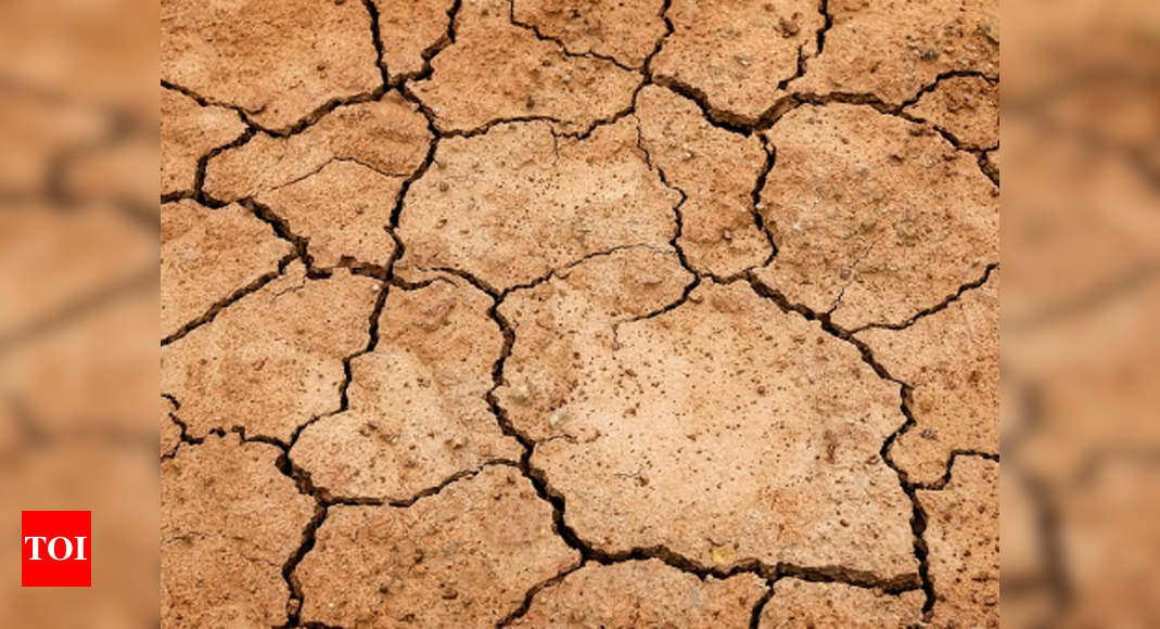 7-talukas-of-pune-district-under-moderate-drought-pune-news-times