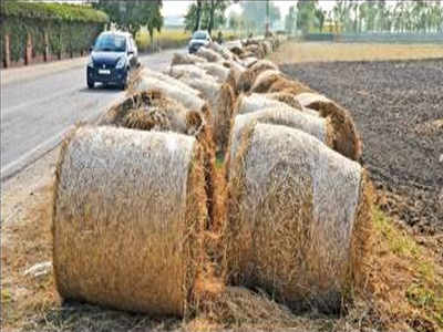Fear of fines makes farmers discard straw on roadsides