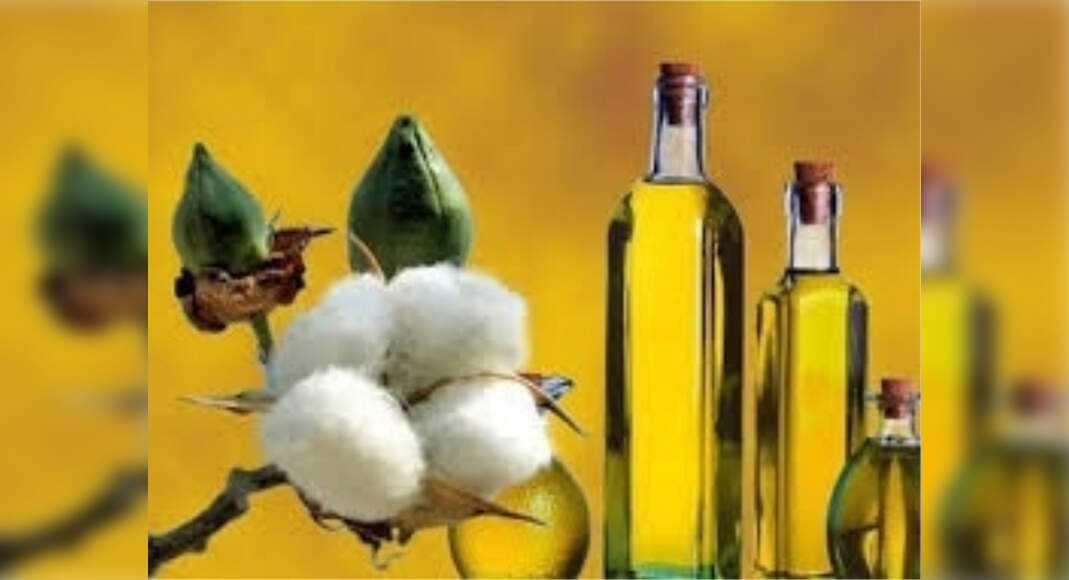 Researchers claim that cottonseed oil can help bring cholesterol levels under control