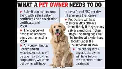 If you have a pet, you now need a licence from MCG