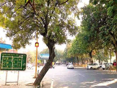 Road widening projects take a hit as forest dept seeks tree census