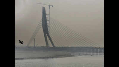Signature bridge: A 360° view of Delhi in 3 months