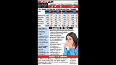 Gujarat now India No. 3 in swine flu cases; 2 more die