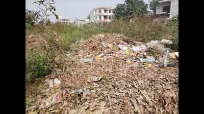 Garbage piles up on roads in Greater Noida