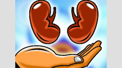 Pregnant woman donates spouse’s liver, kidneys