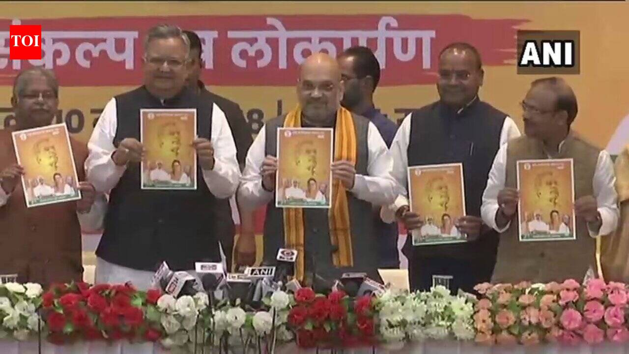 Chhattisgarh election campaign Live updates: PM Modi addresses rally in ...