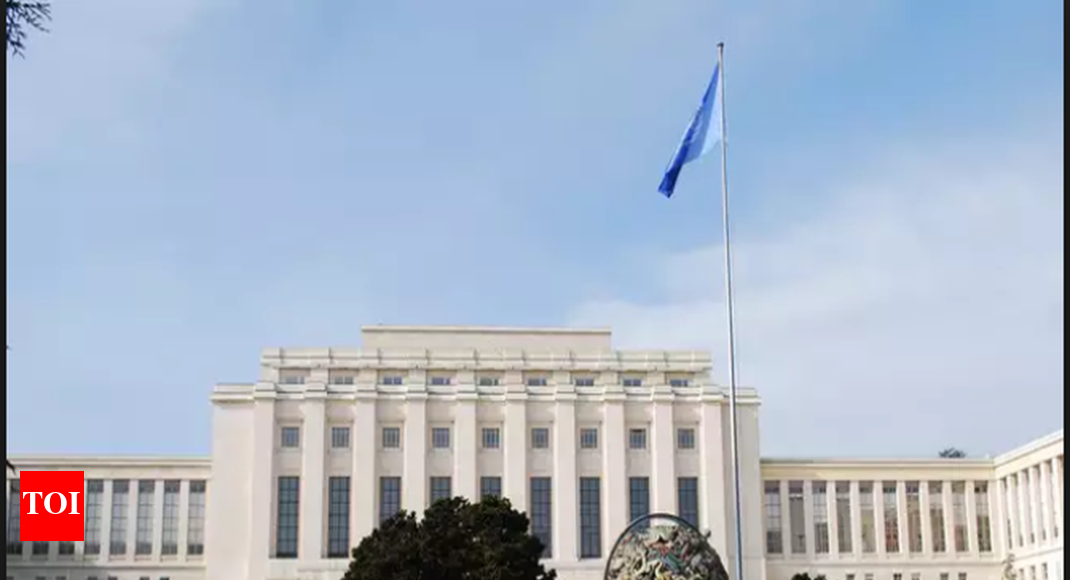 UN gender agency hails record-breaking number of women in new US Congress - Times of India