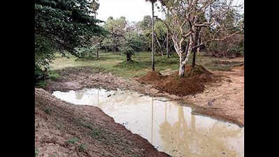 Water bodies in Guindy National Park desilted ahead of monsoon