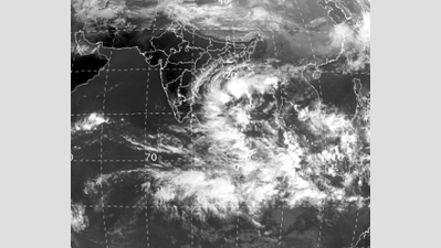 Cyclone Gaja: Eight NDRF teams deployed in coastal districts of TN
