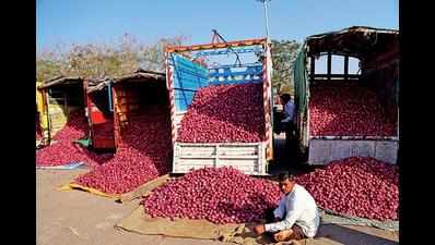 Kharif onion supply begins at Lasalgaon APMC