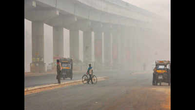 Pollution level comes down to moderate zone in Gurugram