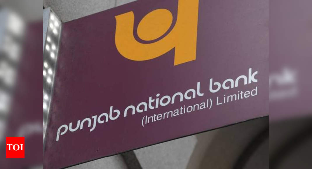 Business People Accused In Pnb 37m Uk Scam Deny Fraud Times Of India