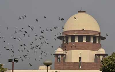 Child marriage: Denied govt job, 2 men move SC