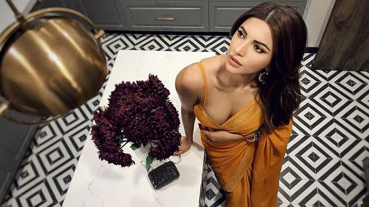 Shama Sikander Adds Her Very Own Ruffled Flair To The Festive Season With  Her Saree