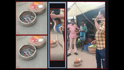 Andhra Pradesh: Cobra bite kills 24-year-old man who wrapped snake around the neck