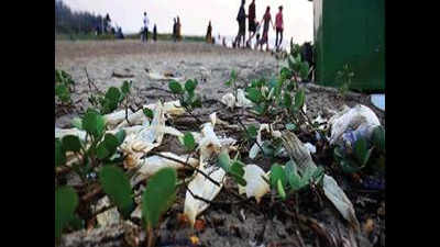 As waste piles on beaches, government scrambles for solution