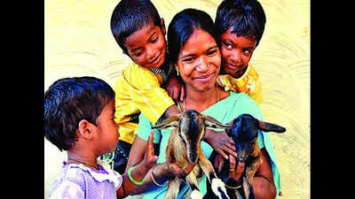 Tribal woman to get feted for animal care training
