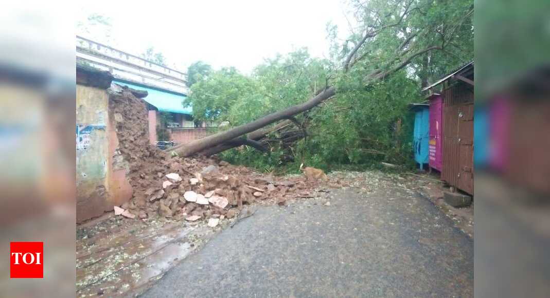 Cyclone Gaja Chennai: Gaja cyclone wreaks damage in Tamil Nadu ...