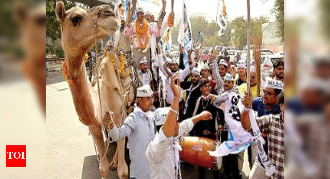 Poll jamboree with jumbo & camel at collectorate Jaipur News Times