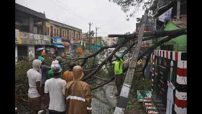 Cyclone Gaja: Tamil Nadu CM says 11 deaths were reported