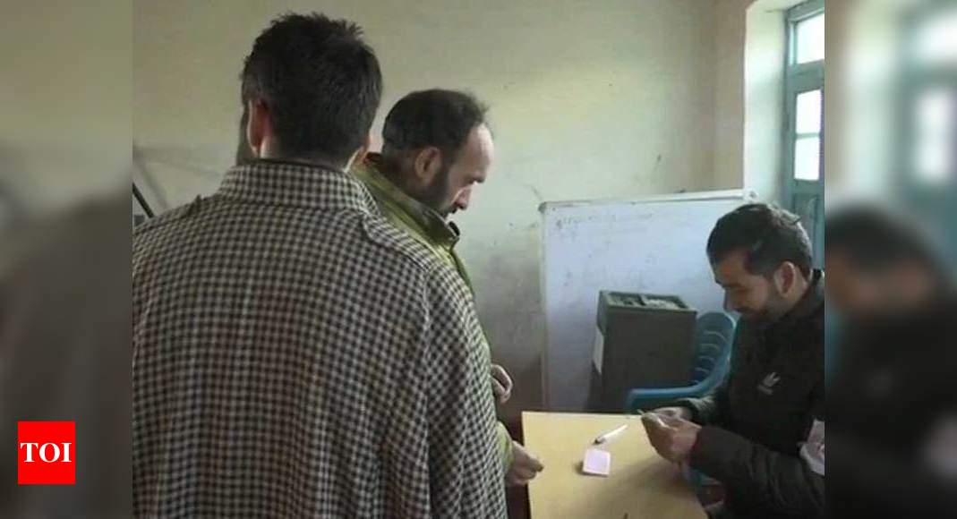 Jammu Kashmir Panchayat Election: Polling Begins In Jammu And Kashmir ...