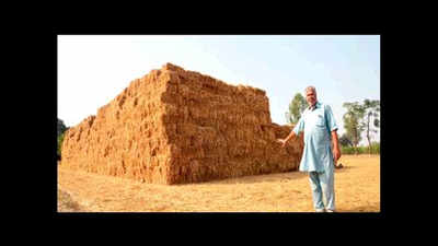 Stubble rakes in moolah for Ludhiana farmers