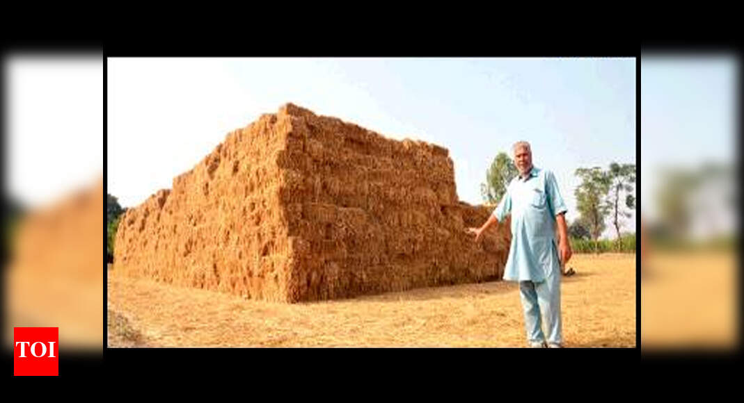 Stubble rakes in moolah for Ludhiana farmers Ludhiana News Times of