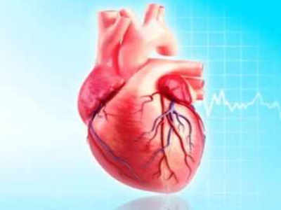1st heart transplant carried out in government hospital, 5th in Kolkata