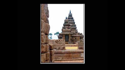 Artistic skill of Pallavas a gift from Satavahanas, says expert