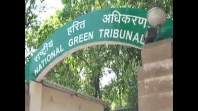 Illegal shops in Shahdara: NGT imposes Rs 1L fine on DPCC for submitting report based on 'hearsay'