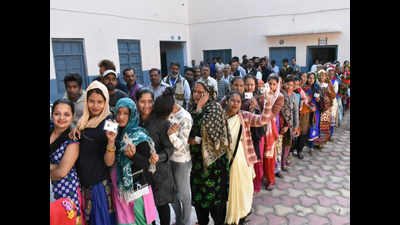 Uttarakhand civic polls: Most districts record over 60% polling