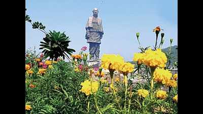 Statue of Unity passes to have time slots to cut waiting period