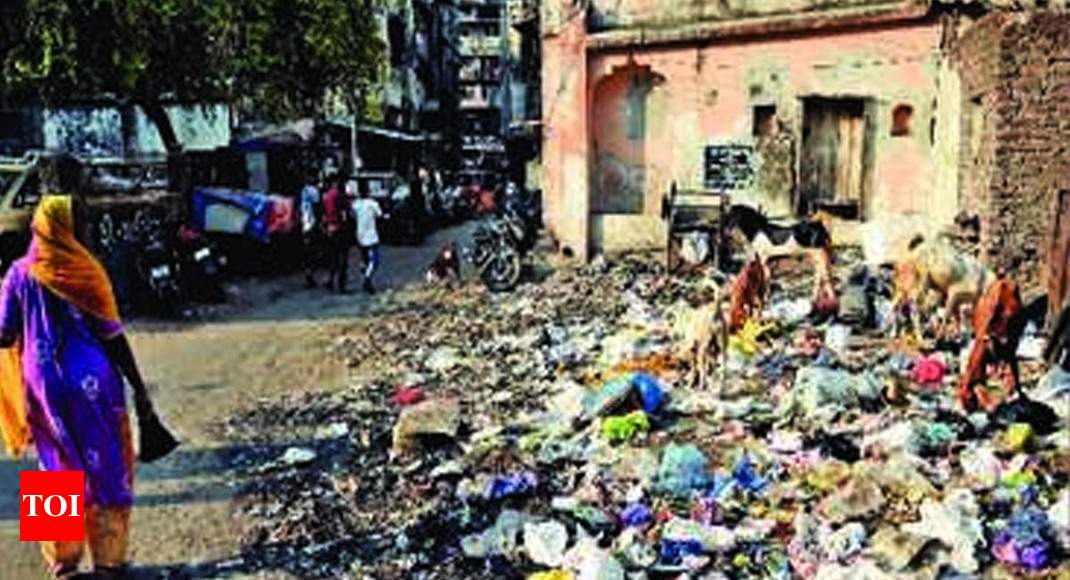 Garbage issue: Nuisance squads set up to deal with garbage issue in ...