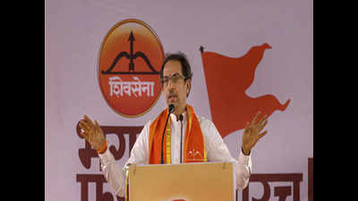 Shiv Sena to challenge BJP in Uttar Pradesh, Madhya Pradesh and Rajasthan elections