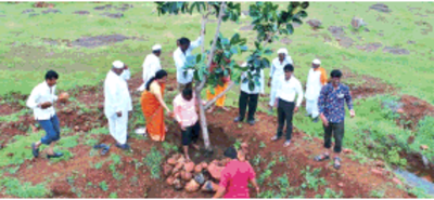 Aurangabadkars plant medicinal plants