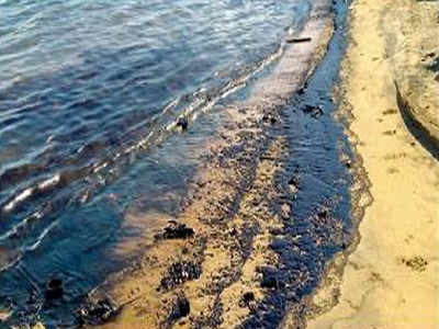 Most of oil spill cleaned up, say port, Coast Guard