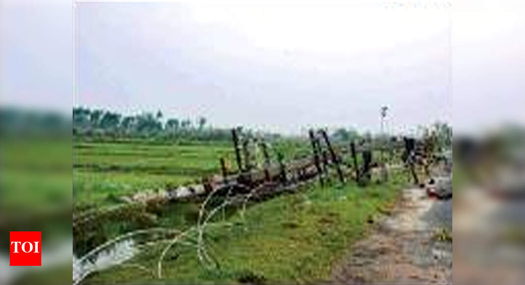Cyclone Gaja: It will take 15 days to restore power in the affected ...