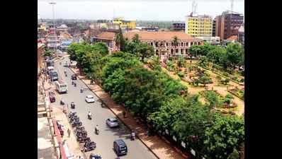 A tree that inspired Margao’s krantikari and fuelled revolutions