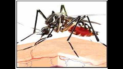 Zika causing microcephaly not found in Jaipur: ICMR