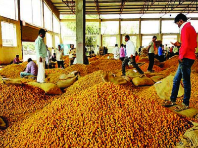 eNAM proves boon for turmeric producers in drought-hit region