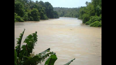 A rejuvenation plan for Vamanapuram River