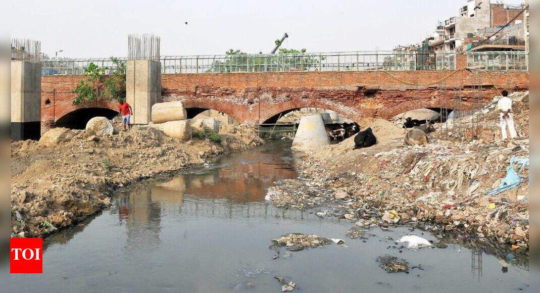 Kushak drain cleanup: Delhi HC slams inaction | Delhi News - Times of India