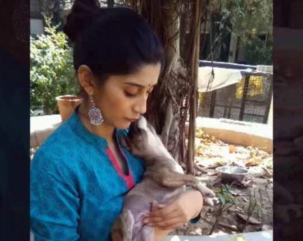 
Deeksha Joshi urges people to adopt animals
