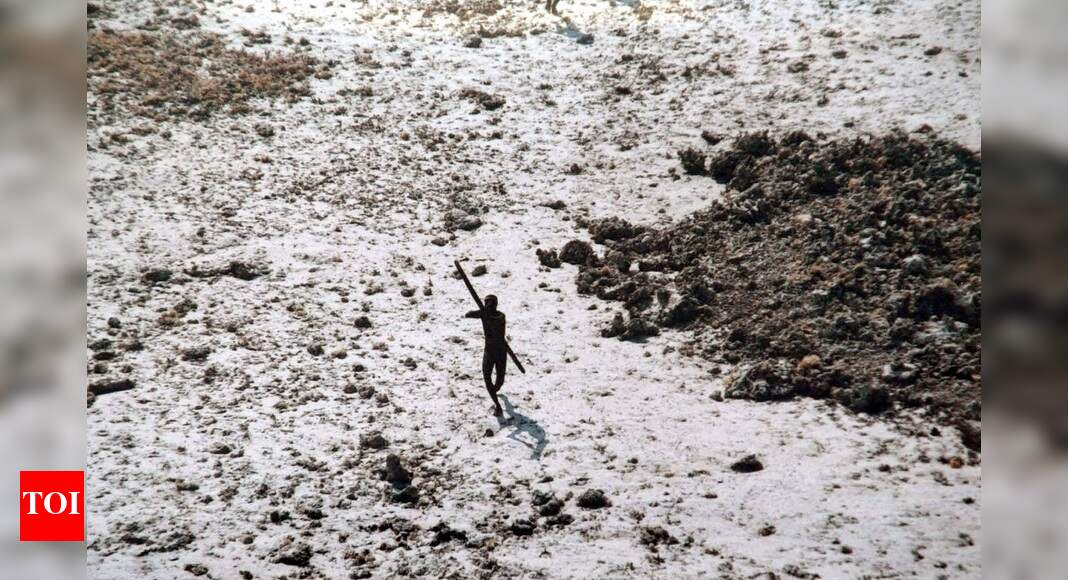 north sentinel island killing north sentinel island killing