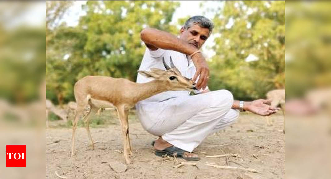 From mechanic to messiah: Man runs farm with 600 wild animals | Jaipur News  - Times of India