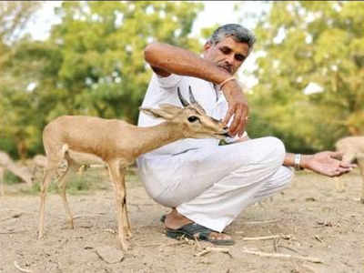 From mechanic to messiah: Man runs farm with 600 wild animals | Jaipur News  - Times of India