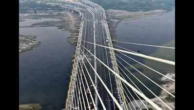 Changes mooted to stop accidents at Delhi's Signature Bridge
